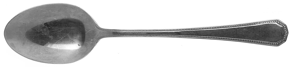 Fashionpoint (Stainless) Tablespoon (Serving Spoon) by Oneida Silver-1