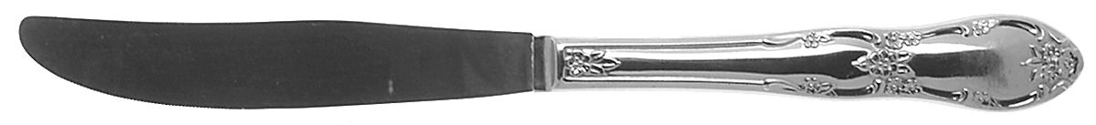 Fenway (Stainless) Modern Solid Knife by Oneida Silver-1