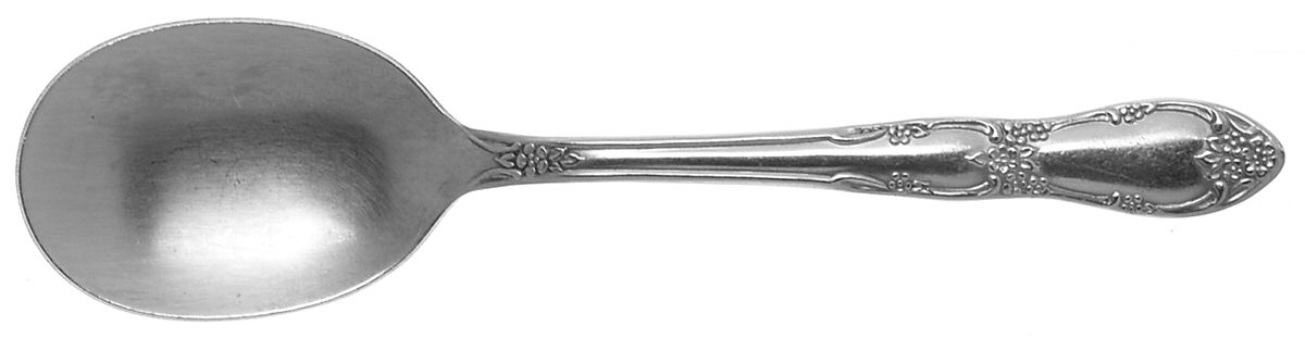 Fenway (Stainless) Sugar Spoon by Oneida Silver-1