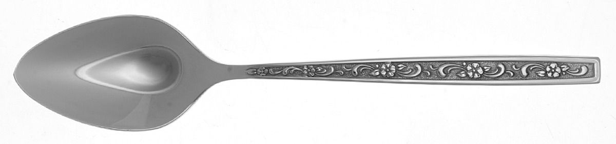 Fernwood (Stainless) Teaspoon by Oneida Silver-1