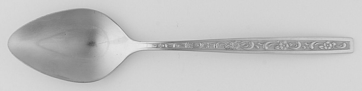 Fernwood (Stainless) Tablespoon (Serving Spoon) by Oneida Silver-1