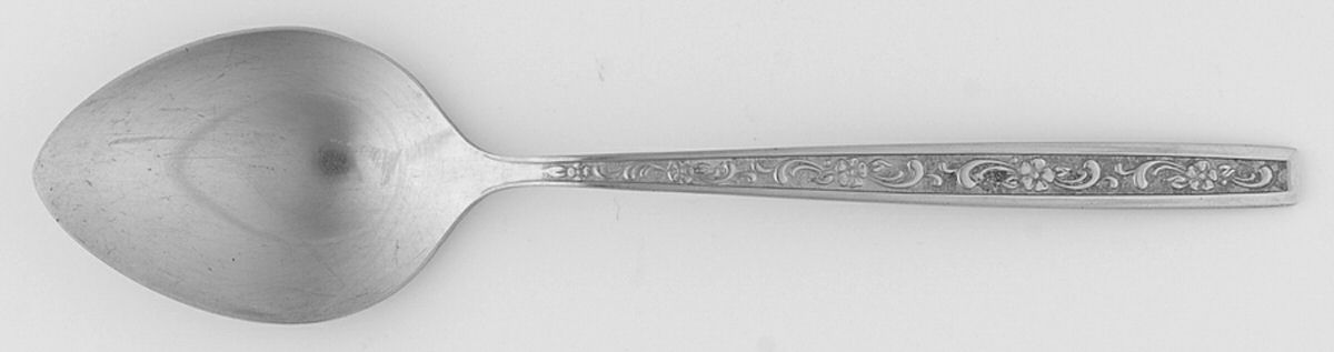 Fernwood (Stainless) Place/Oval Soup Spoon by Oneida Silver-1