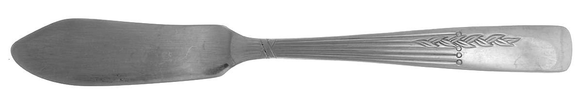Fernwood (Stainless) Flat Handle Master Butter Knife by Oneida Silver-1
