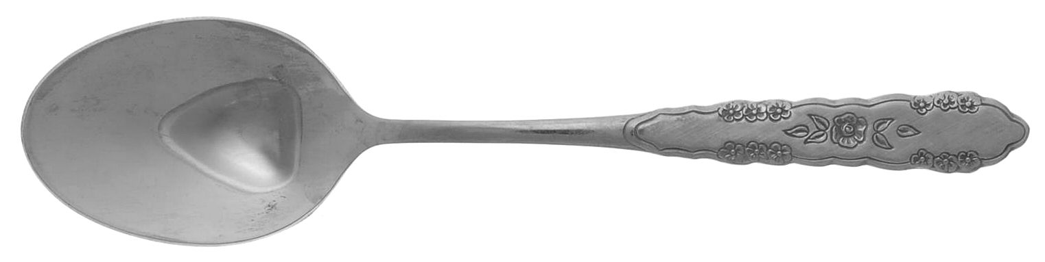 First Rose-Jillian (Stainless) Place/Oval Soup Spoon by Oneida Silver-1