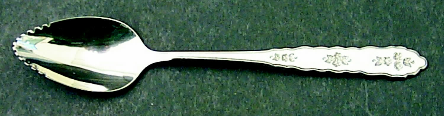 Floral Bouquet (Stainless) Fruit/Orange Spoon by Oneida Silver-1