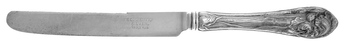 Flower De Luce (Silverplate, 1904) Orange Knife with Silverplate Blade by Oneida Silver-1