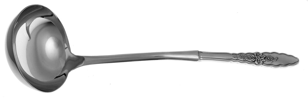 Floral Glen (Stainless) Soup Ladle with Stainless Bowl HC by Oneida Silver-1