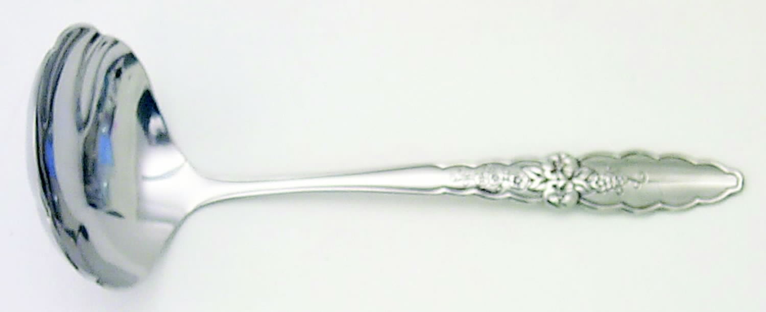 Floral Glen (Stainless) Solid Gravy Ladle by Oneida Silver-1