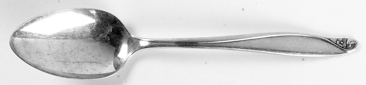 Flowertime (Silverplate, 1963) Tablespoon (Serving Spoon) by Oneida Silver-1