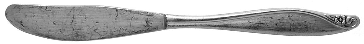 Flowertime (Silverplate, 1963) Flat Handle Butter Spreader by Oneida Silver-1