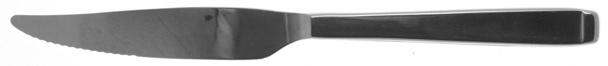 Forte (Stainless) Individual Solid Handle Steak Knife by Oneida Silver-1