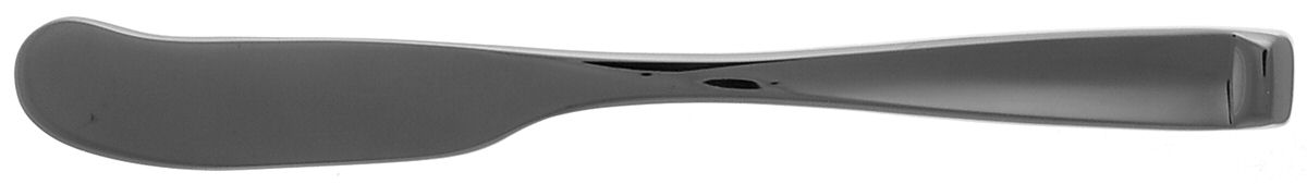 Forte (Stainless) Flat Handle Butter Spreader by Oneida Silver-1