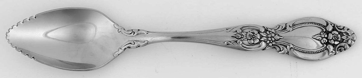 Frederick II (Stainless) Fruit/Orange Spoon by Oneida Silver-1