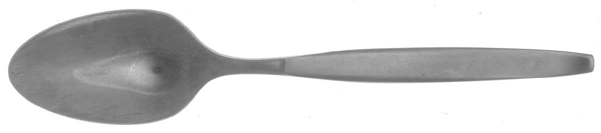 Frostfire (Stainless) Teaspoon by Oneida Silver-1