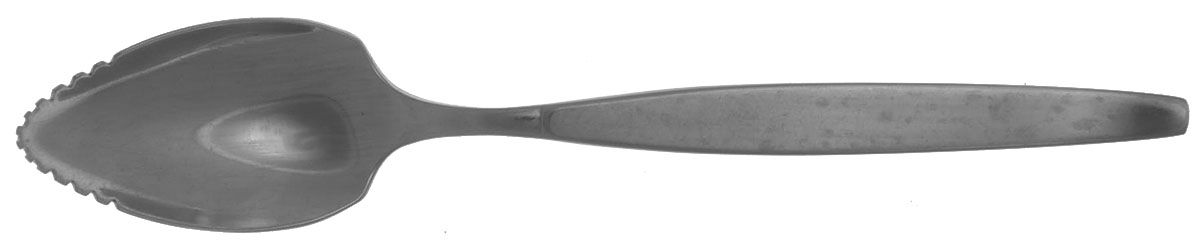 Frostfire (Stainless) Fruit/Orange Spoon by Oneida Silver-1
