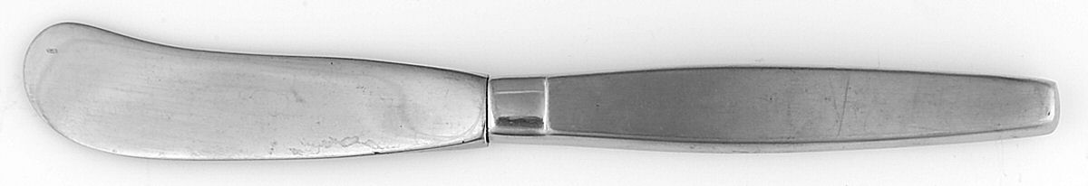 Frostfire (Stainless) Butter Spreader Hollow Hdl-Paddle/Stainless Blade by Oneida Silver-1