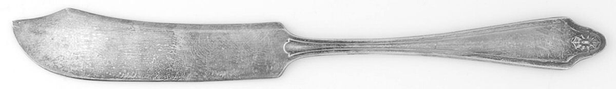 Georgian (Silverplate, 1912) Flat Handle Butter Spreader by Oneida Silver-1