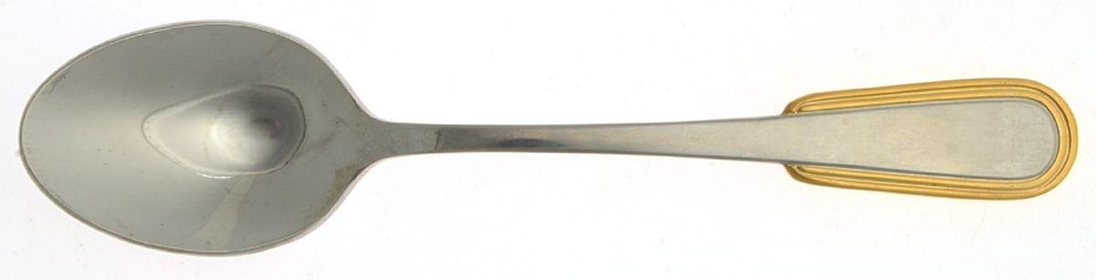 Golden Ionia (Stainless, Gold Accent) Place/Oval Soup Spoon by Oneida Silver-1