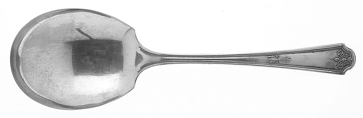 Hampton-Thelma Solid Smooth Casserole Spoon by Oneida Silver-1