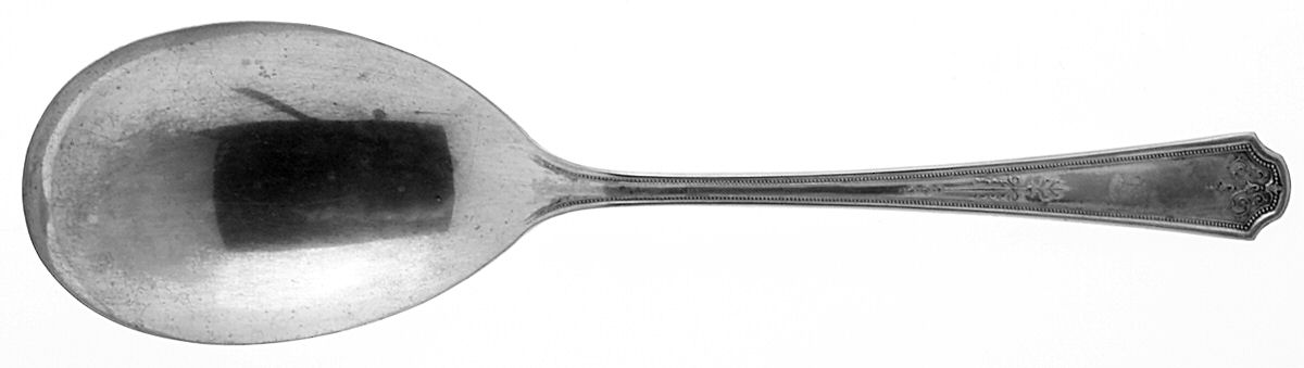 Hampton-Thelma Solid Salad Serving Spoon by Oneida Silver-1