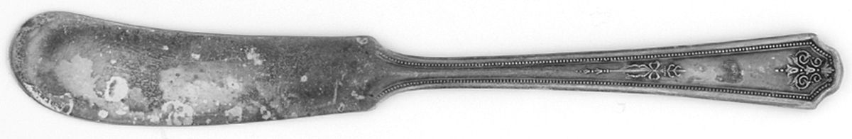 Hampton-Thelma Flat Handle Butter Spreader by Oneida Silver-1