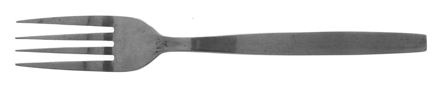 Hillcrest (Stainless) Fork by Oneida Silver-1