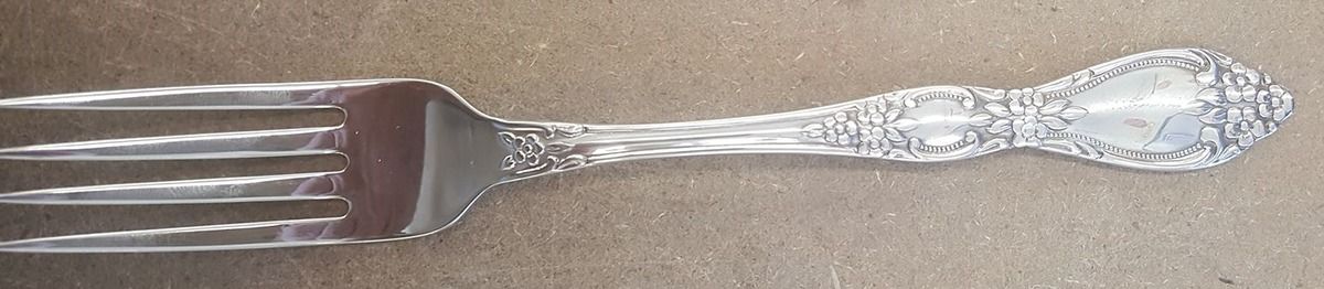 Huntington (Stainless) Youth Fork by Oneida Silver-1