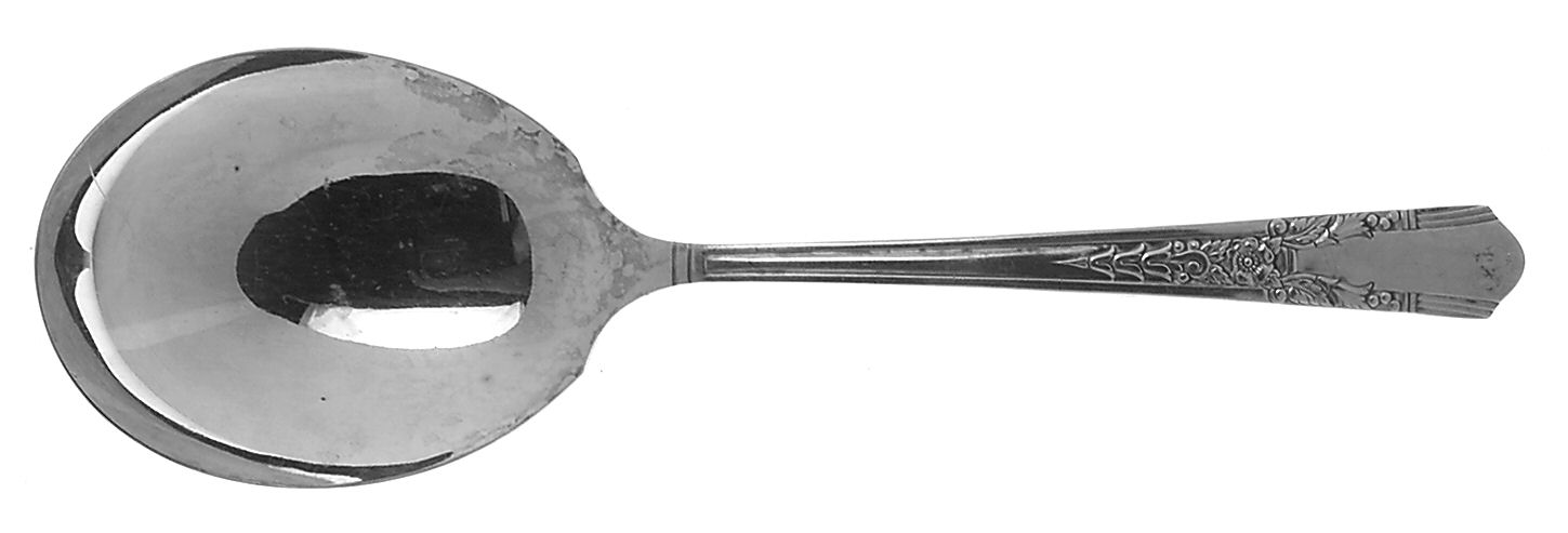 Jasmine (Silverplate, 1939) Solid Smooth Casserole Spoon by Oneida Silver-1