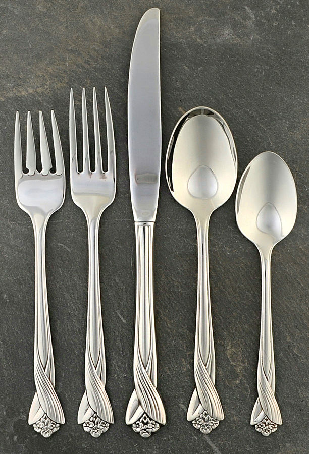 Katrina (Stainless) 5 Piece Place Setting by Oneida Silver-1
