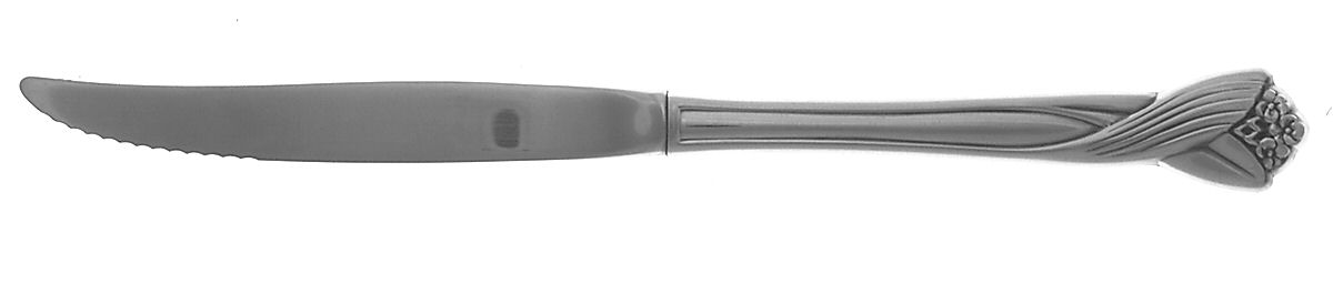 Katrina (Stainless) Individual Steak Knife Hollow Handle by Oneida Silver-1