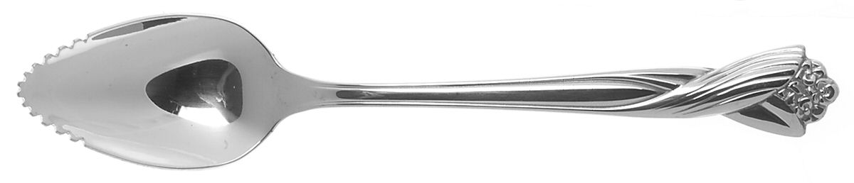 Katrina (Stainless) Fruit/Orange Spoon by Oneida Silver-1