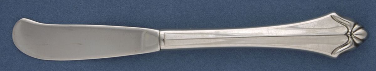 Kenwood (Stainless) Butter Spreader Hollow Hdl-Paddle/Stainless Blade by Oneida Silver-1