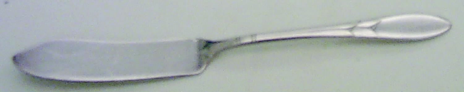 Lady Hamilton (Silverplate, 1932) Flat Handle Master Butter Knife by Oneida Silver-1