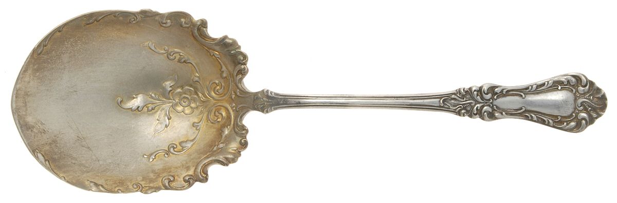 Lakewood-Warren (Silverplate, 1901) Solid Smooth Casserole Spoon by Oneida Silver-1