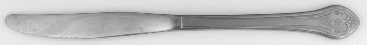 Lakewood (Stainless) Modern Solid Knife by Oneida Silver-1