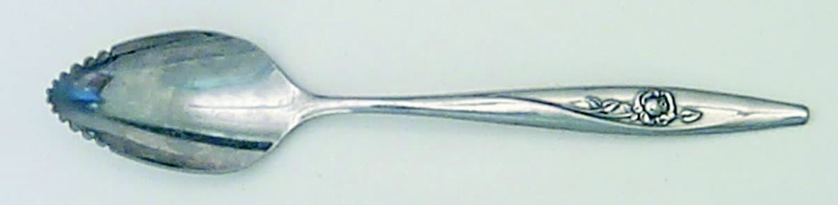 Lasting Rose (Stainless) Fruit/Orange Spoon by Oneida Silver-1