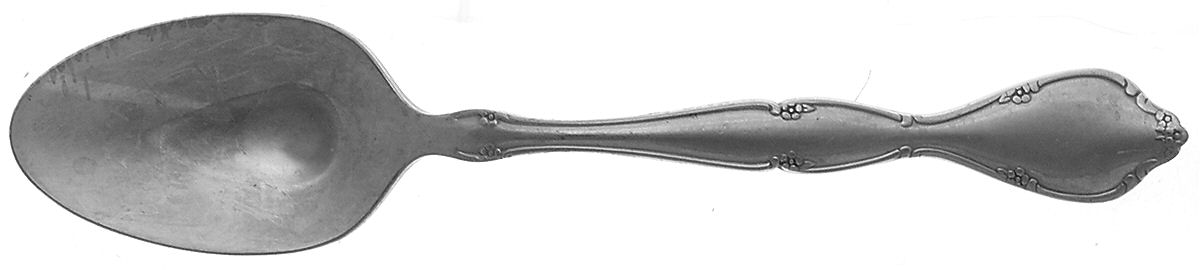 Lakewood-Tuxedo (Stainless, S.S.S.) Teaspoon by Oneida Silver-1