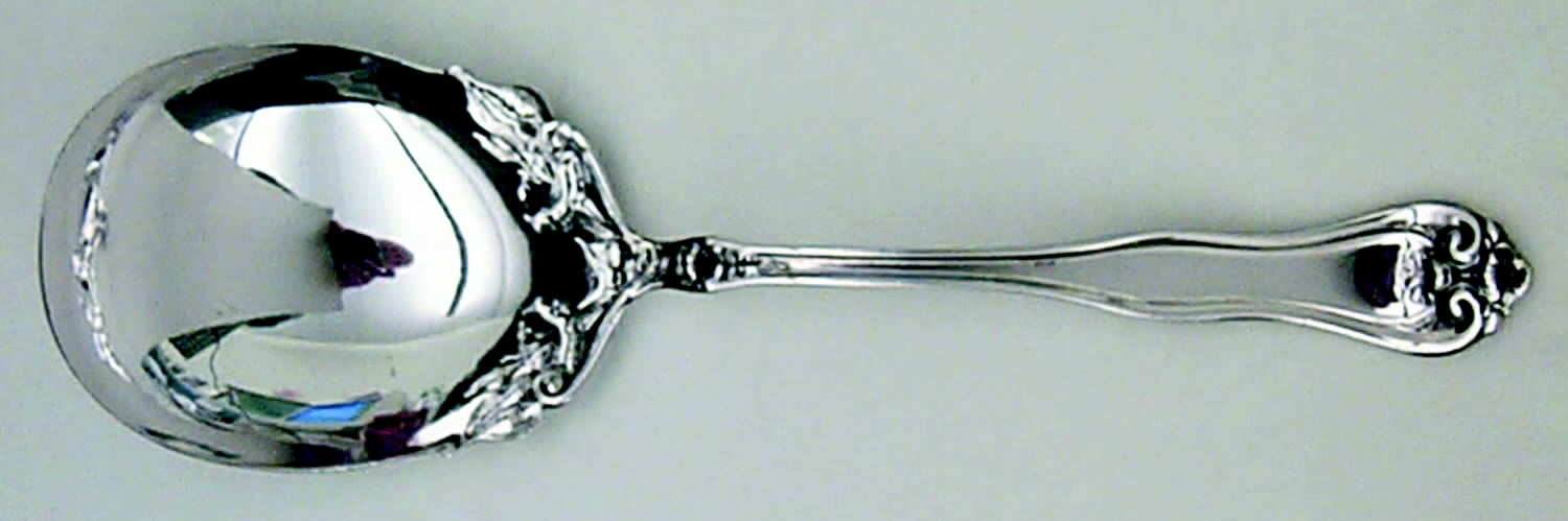 Leyland (Silverplate, 1910) Solid Smooth Casserole Spoon by Oneida Silver-1