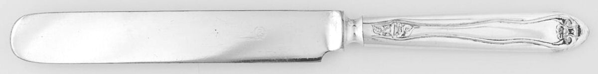 Leyland (Silverplate, 1910) Blunt Solid Knife by Oneida Silver-1