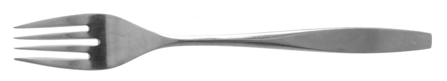 Lido (Stainless) Fork by Oneida Silver-1