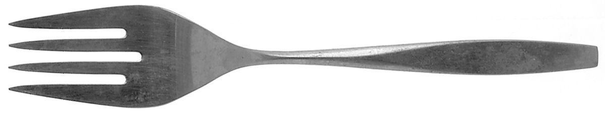 Lido (Stainless) Medium Solid Cold Meat Serving Fork by Oneida Silver-1