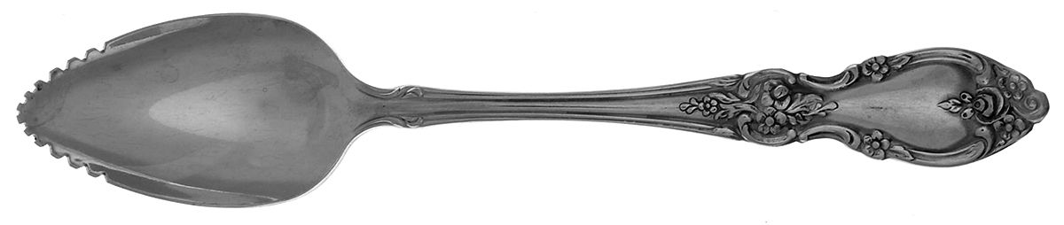 Louisiana (Stainless) Fruit/Orange Spoon by Oneida Silver-1