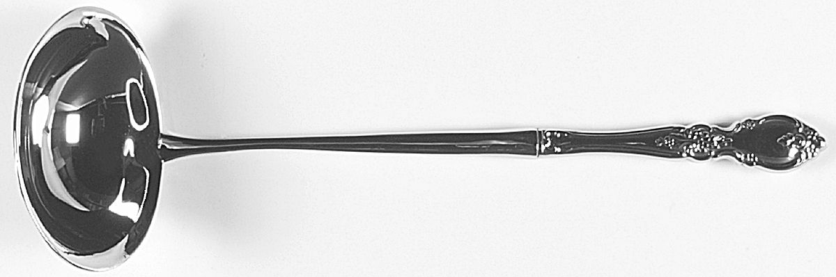 Louisiana (Stainless) Soup Ladle with Stainless Bowl HC by Oneida Silver-1