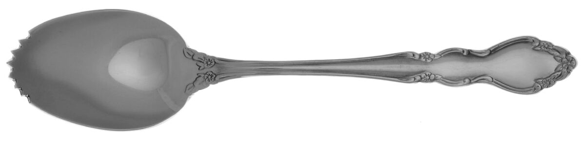 Mansfield (Stainless) Fruit/Orange Spoon Individual, Serrated Bowl HC by Oneida Silver-1