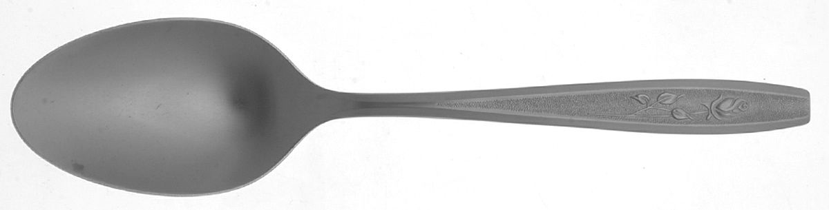 Maybrook (Stainless) Tablespoon (Serving Spoon) by Oneida Silver-1