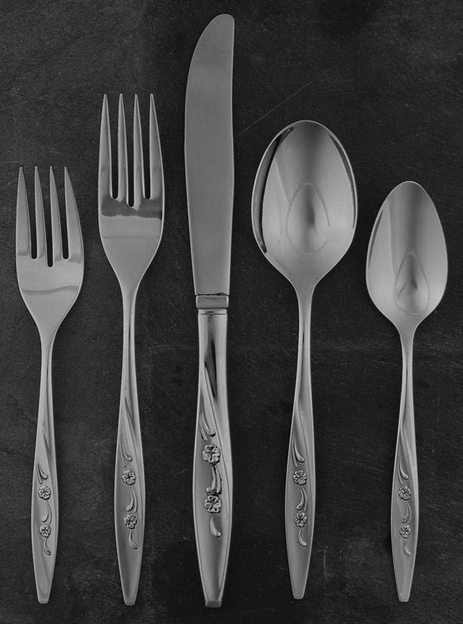 Maywood (Stainless) 5 Piece Place Setting by Oneida Silver-1