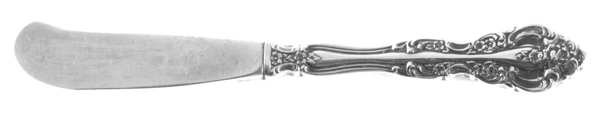 Michelangelo (Stainless) Butter Spreader Hollow Hdl-Paddle/Stainless Blade by Oneida Silver-1