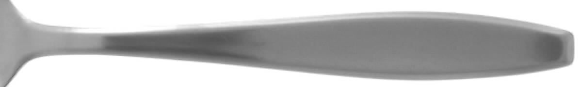 Midland (Stainless) Teaspoon by Oneida Silver-1