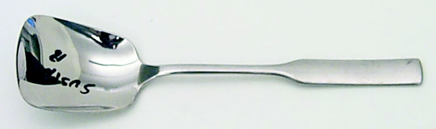 Modern Antique (Stainless) Sugar Spoon by Oneida Silver-1