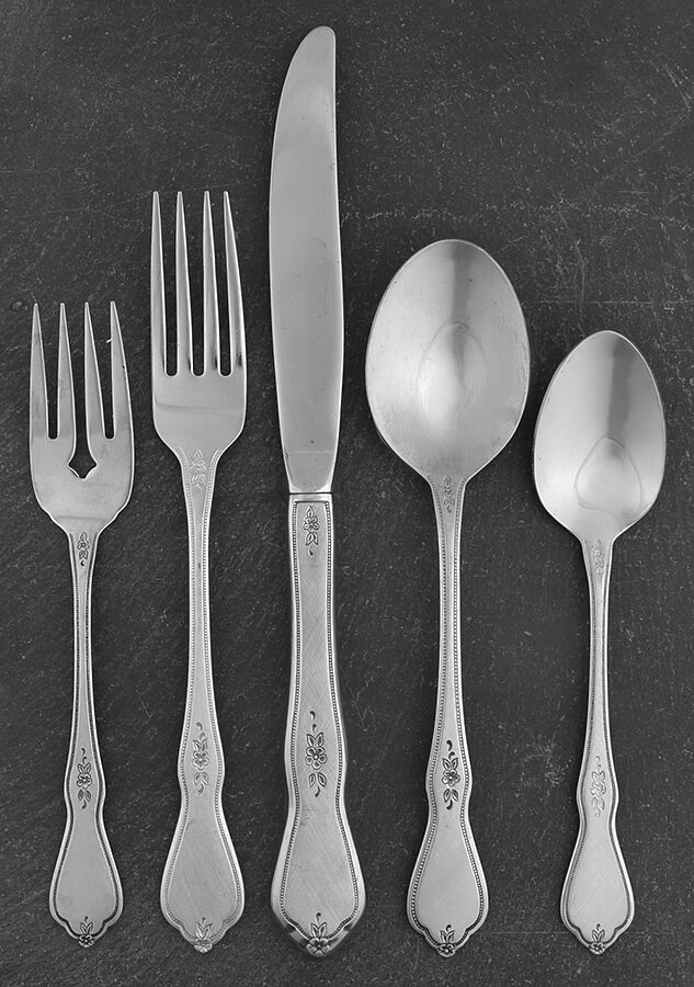 Morning Blossom (Stainless) 40 Piece Estate Set by Oneida Silver-1